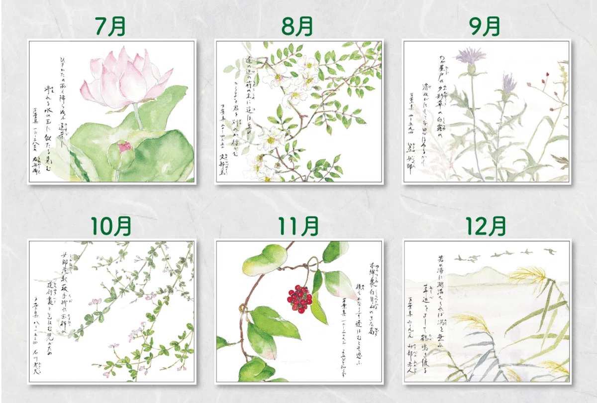 販売開始ー万葉 野の花カレンダー2026年版のお知らせ【数量限定