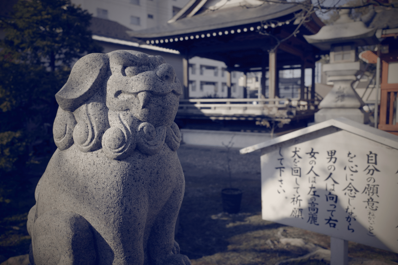 容赦 ください ご