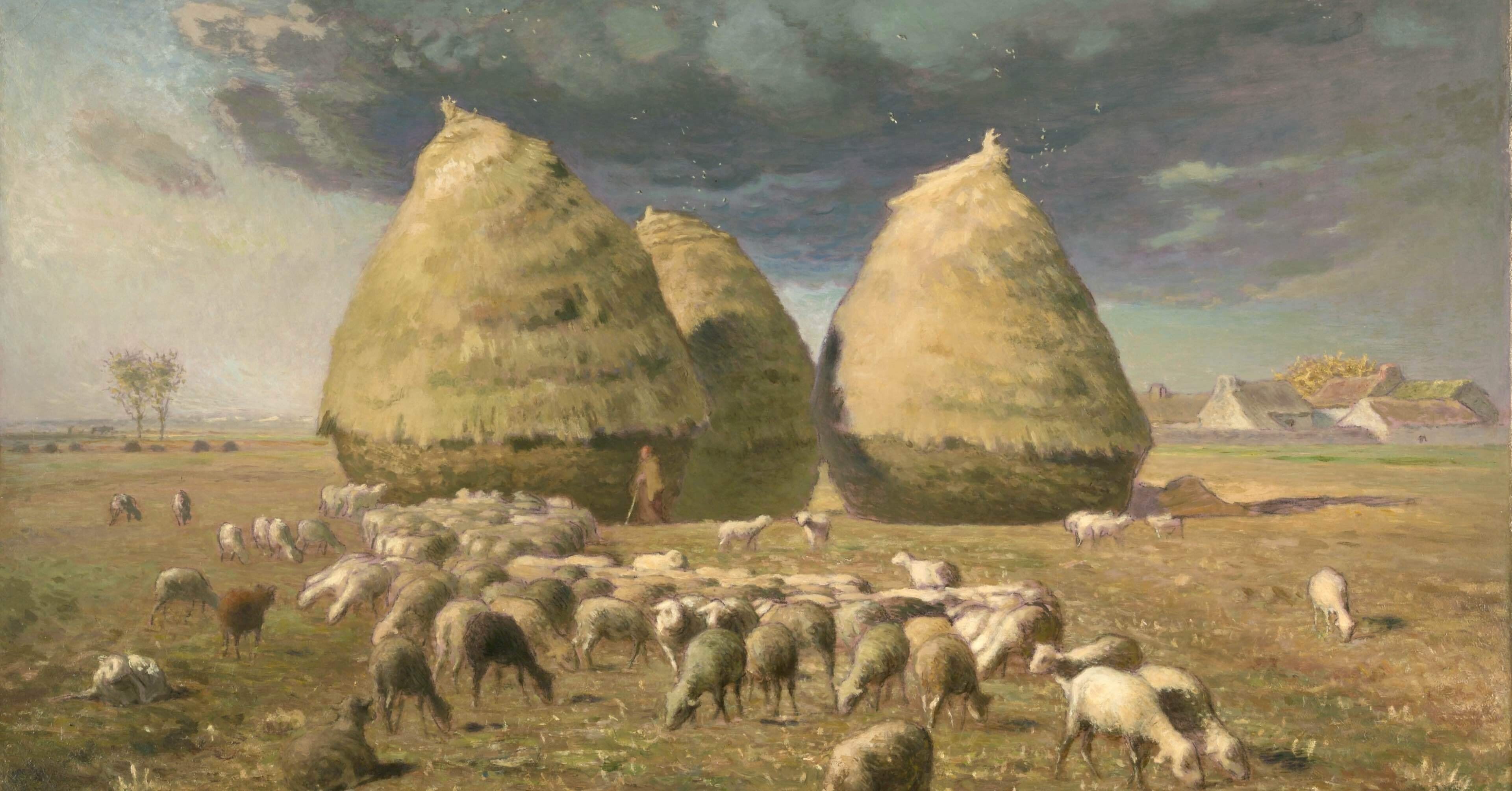 98c9610ab02c4070529cc63b109b9e