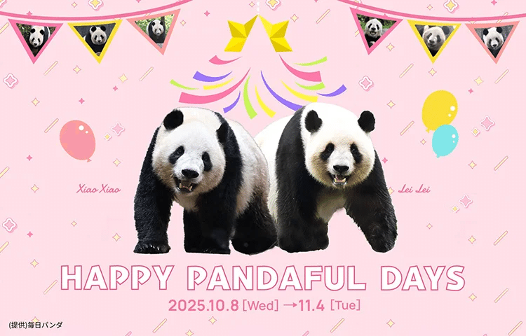 10月8日(水)から松坂屋上野店で「HAPPY PANDAFUL DAYS」を開催！｜上野