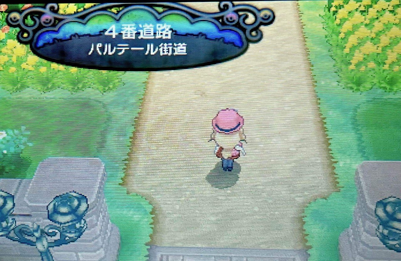 ポケモンXYでフランスについて学ぶ(4番道路 パルテール街道)｜旅