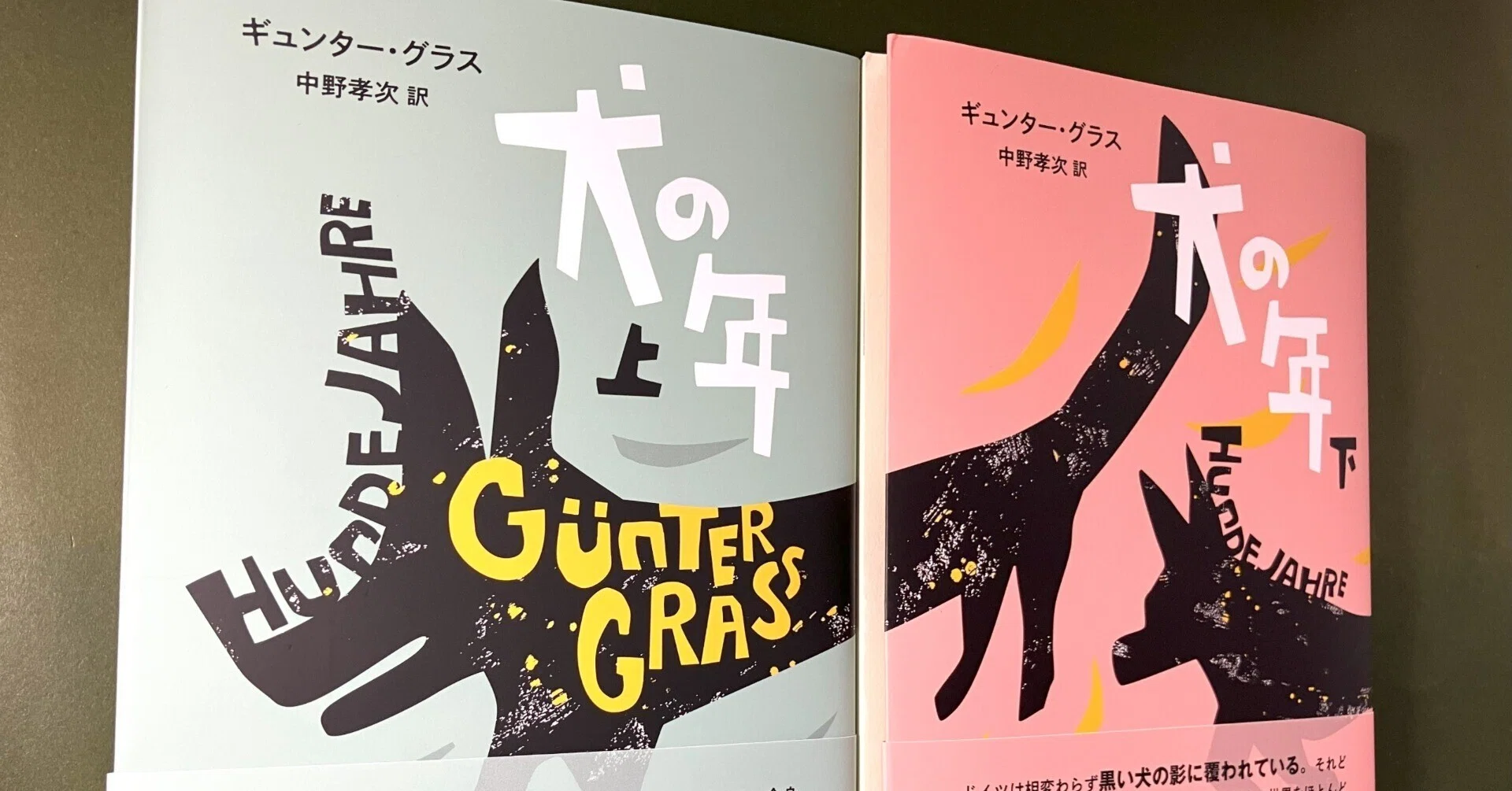 ギュンター・グラス『犬の年』の翻訳者と解説者について｜出版社 あい 
