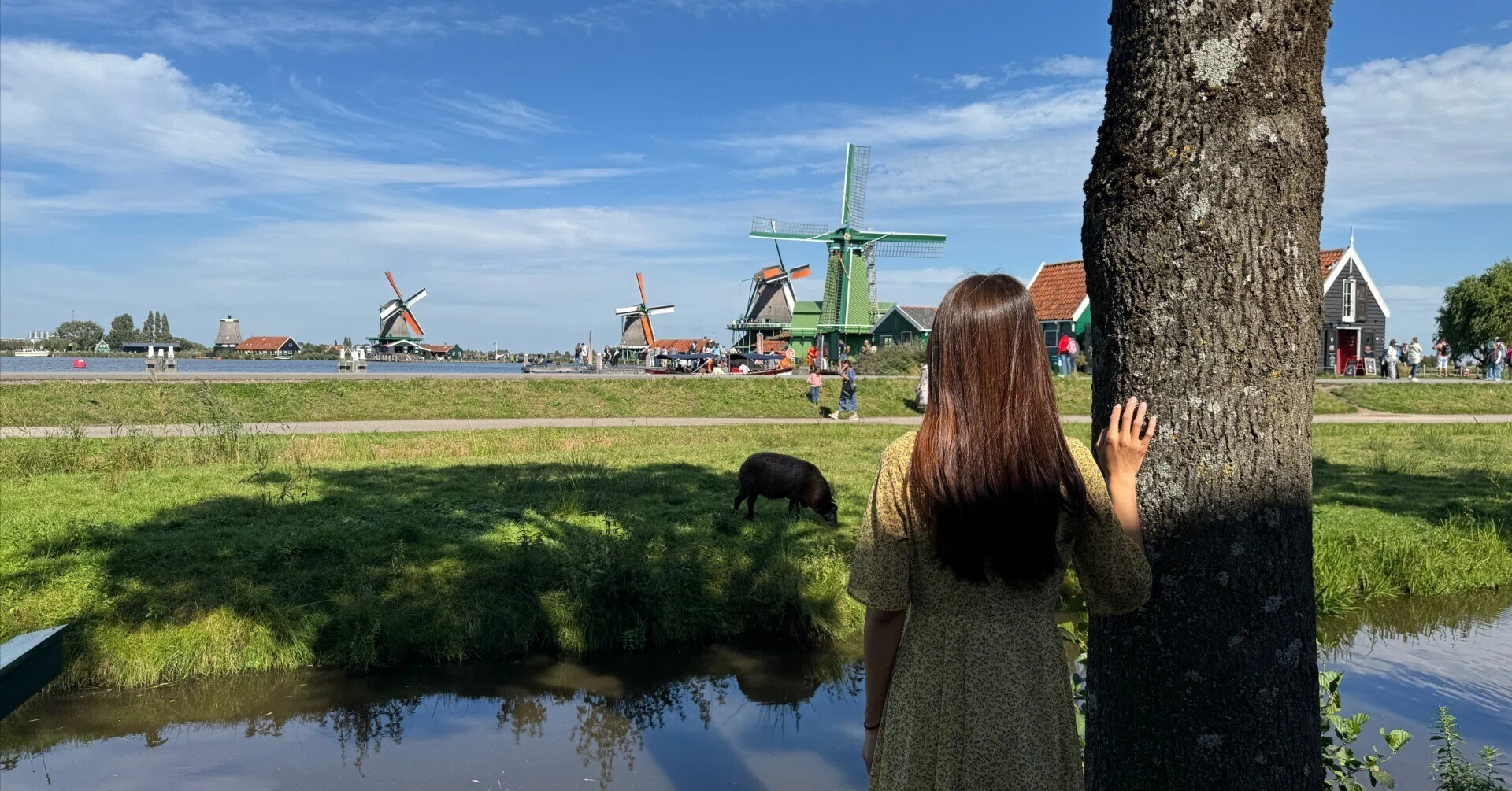 1日で巡る】オランダ🇳🇱ザーンセスカンス〜ユトレヒトの旅。風車と