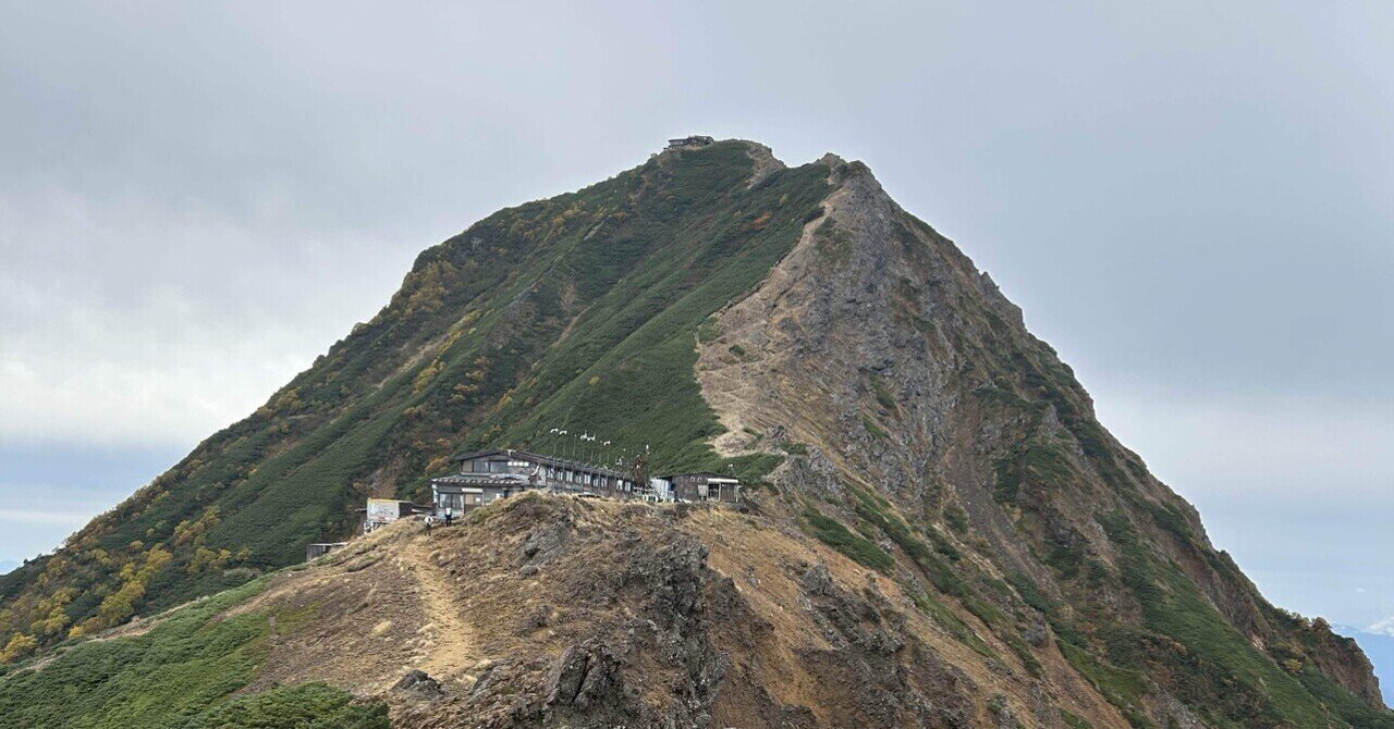 超限定15日20 時迄‼️不世出の超絶鳳凰＆賢人竹林図赤藍九谷赤呉須大鉢1客木箱入 エクストラパック 第38弾 円環に響く竜啼 ｜ Z/X - Zillions of