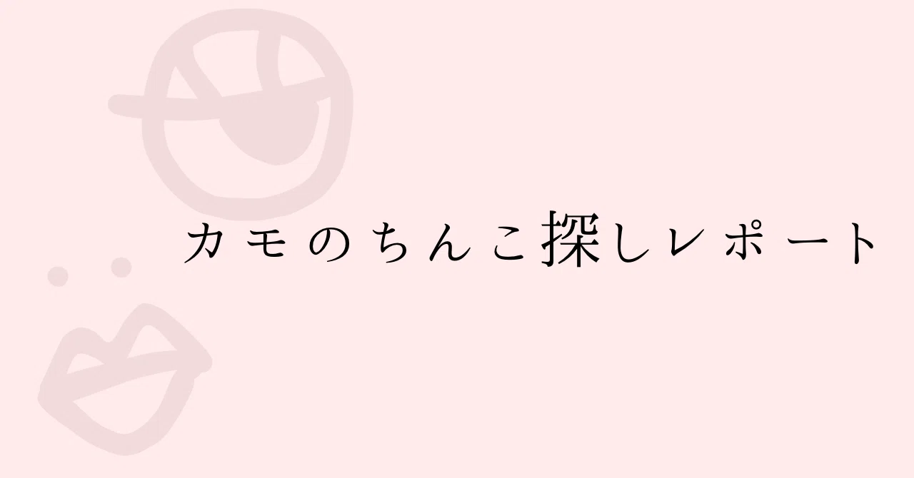 見出し画像