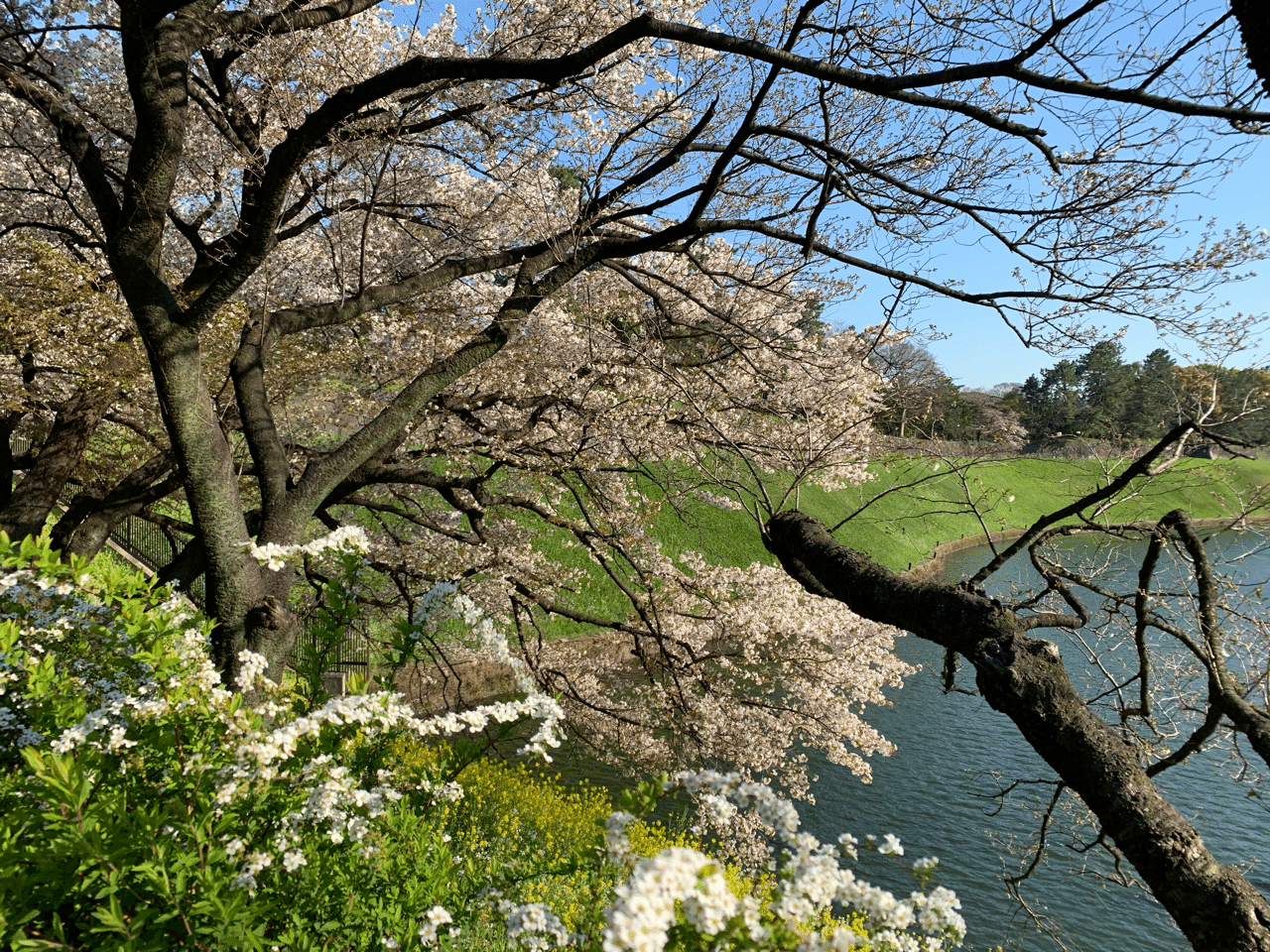 嘘ばっかり 概念 Note