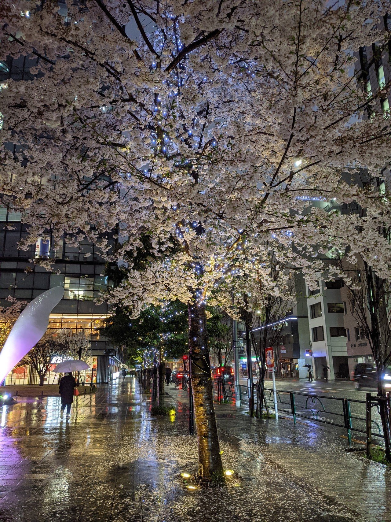 零れ桜に佇んで まゆみんご Note