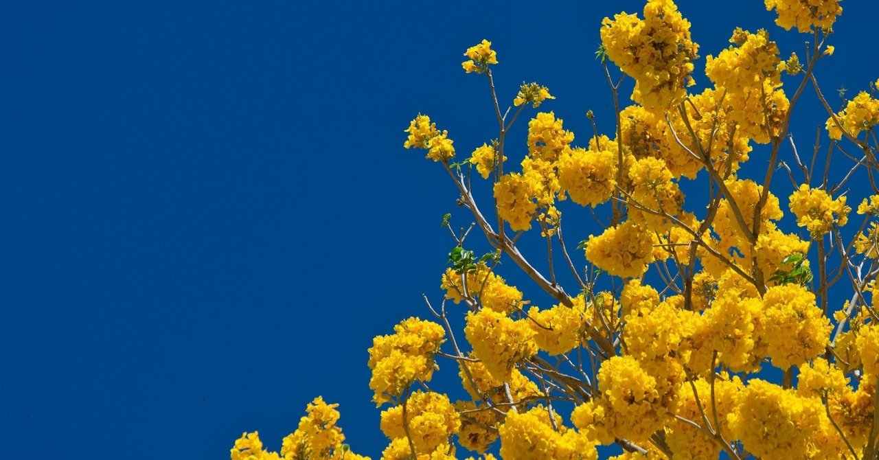 狂気の街 正気の街 みやずまみやず Note