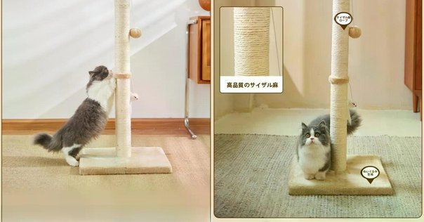 インテリアとしてもインパクト抜群！三日月型のかわいすぎる猫ちゃん用