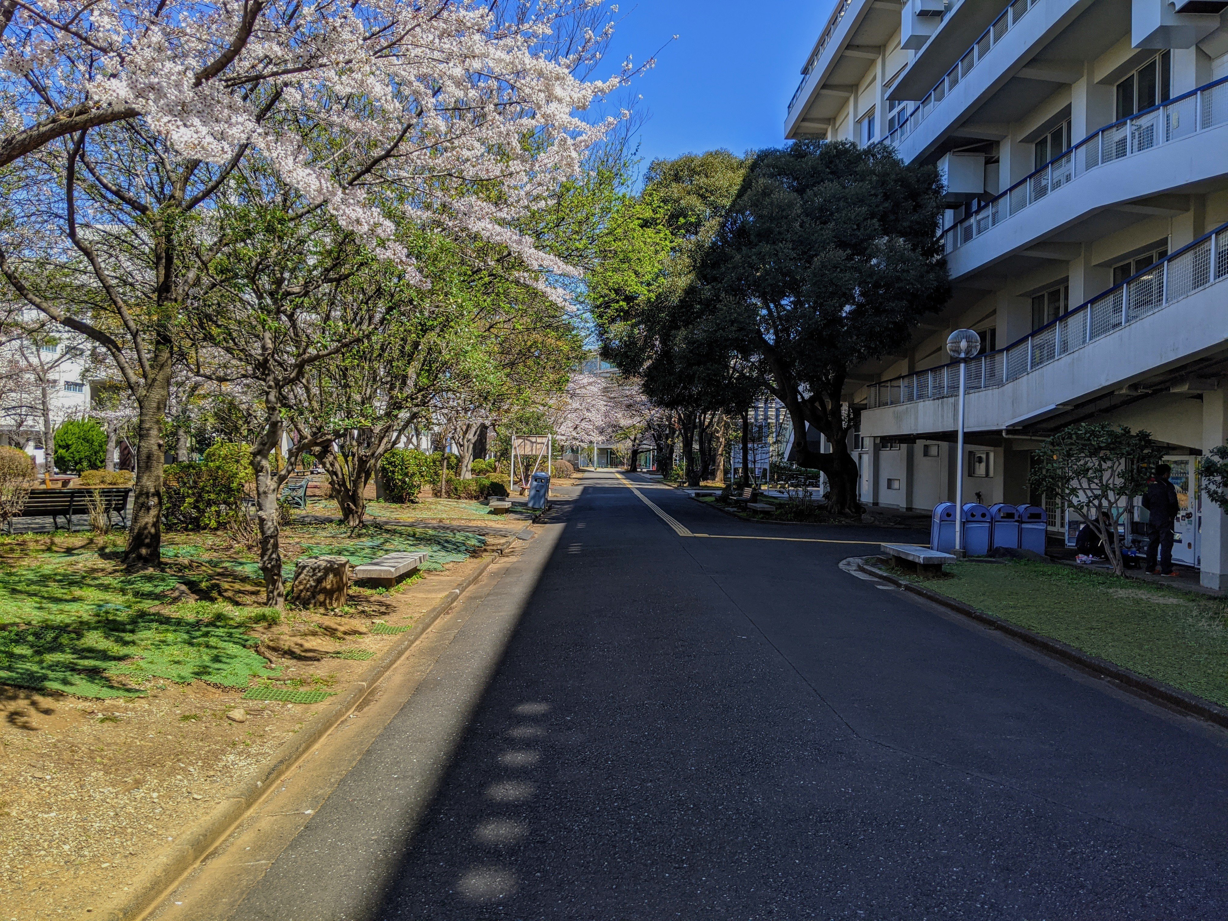 知の「和泉」