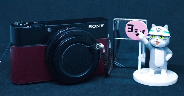 SONY RX100(初代)を選んだ理由②｜🅣ⓄⓀⓎⓄ Ⓢ🅣ⓇⒺⒺ🅣 🄿🄸🅇