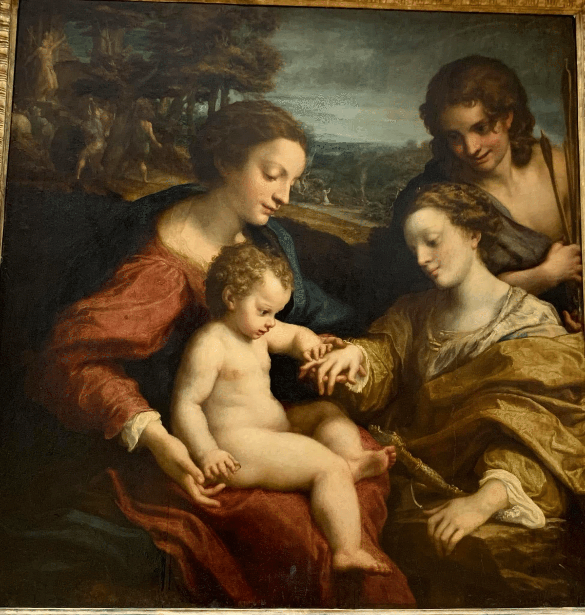 聖カタリナ｜Paixique