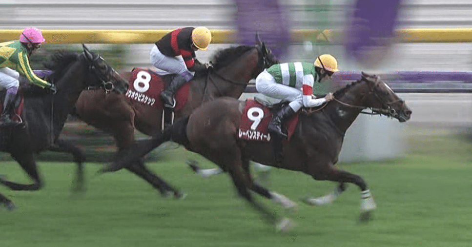 レース回顧Vol.614】第76回毎日王冠｜それみあ