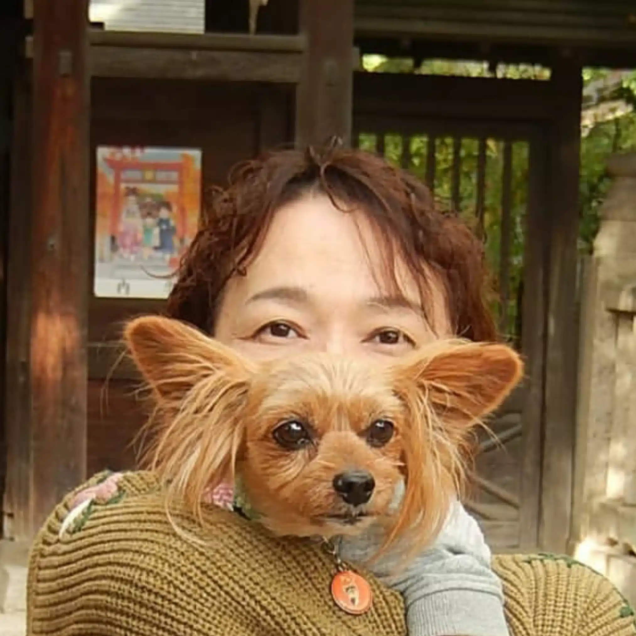 きっこちゃん