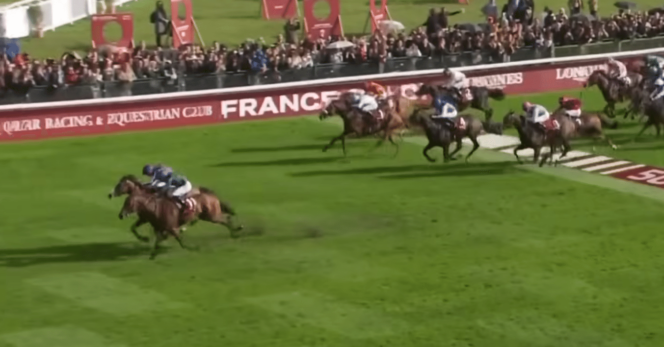 凱旋門賞】シンエンペラー最大のライバル 前走ニエル賞制覇でブックメーカー１番人気に浮上した地元フランスの上昇馬 - 写真3 - UMATOKU | 馬  トク 1995年 フランス 凱旋門賞 レーシングプログラム 勝ち馬ラムタラ