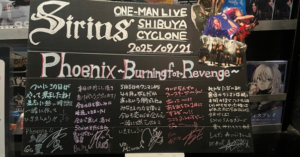 名盤レビュー】Coll:set / D'espairsRay（2005）｜魚がとれた