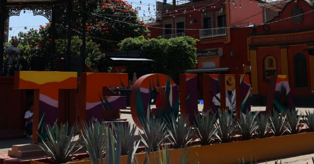 🇲🇽メキシコ・テキーラ村でテキーラ爆飲み撃沈アホ夫婦｜Namo《世界
