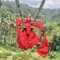 竹中蓮