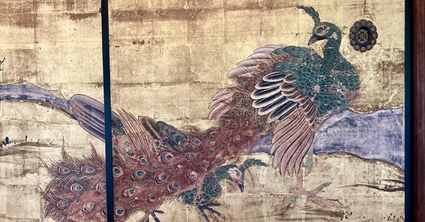 美品 掛け軸 円山応挙筆 重要文化財「孔雀牡丹図」江戸時代中後期 名画 美品 掛け軸 円山応挙筆 重要文化財「孔雀牡丹図」江戸時代中後期