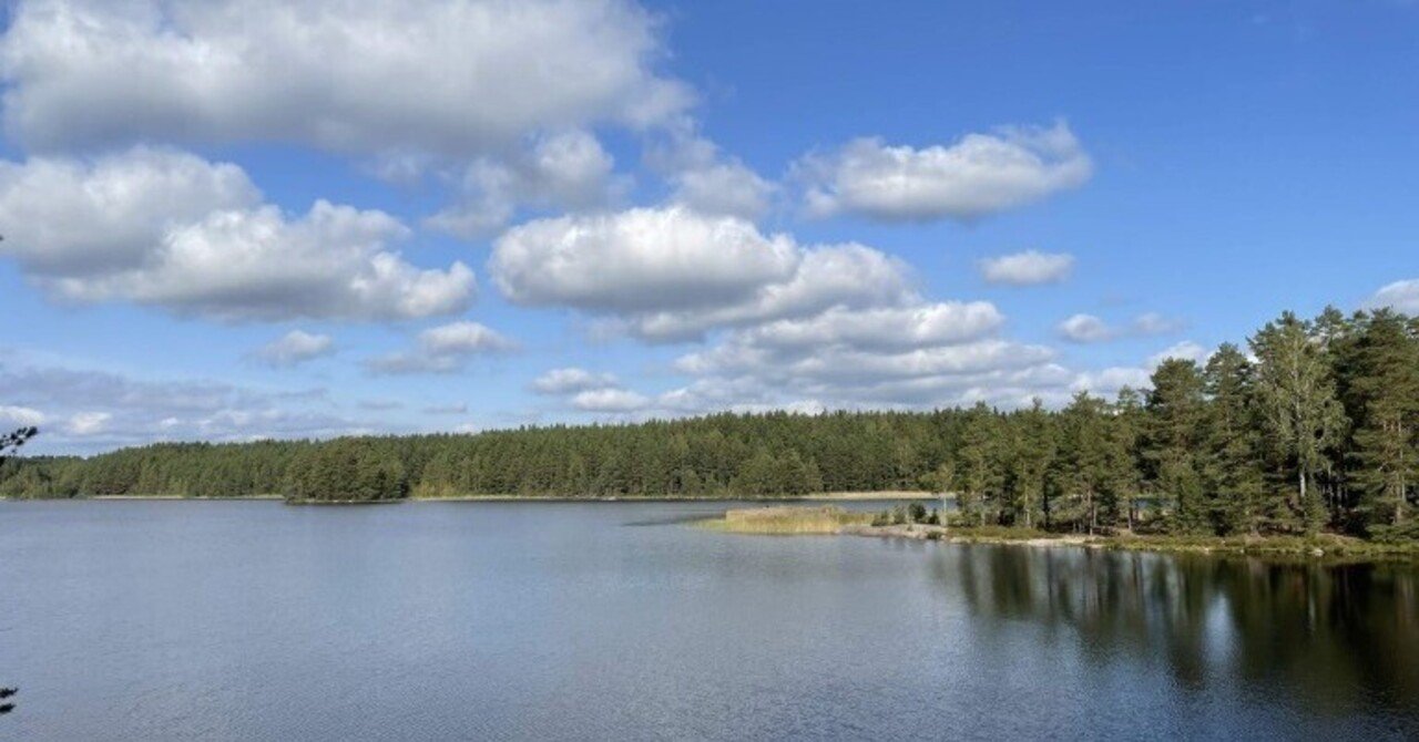 身近にあるコモンズ】誰でも森へ、湖へ。フィンランドの「自然享受権」とは？｜エコネットワークス 公式note