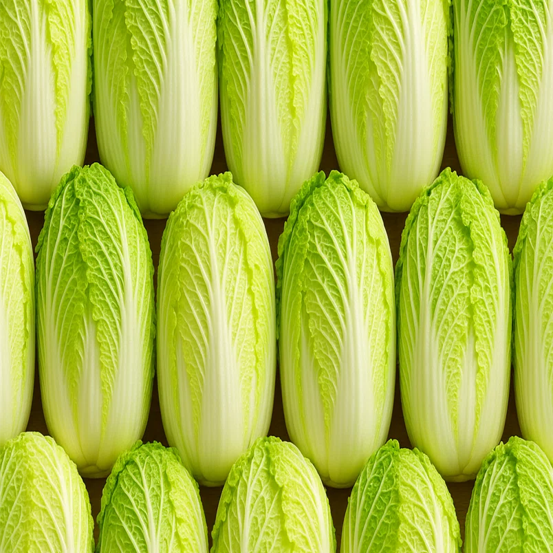 大量消費レシピ】白菜が主役！箸が止まらない「うま塩無限白菜