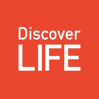 Discover LIFE