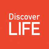 Discover LIFE