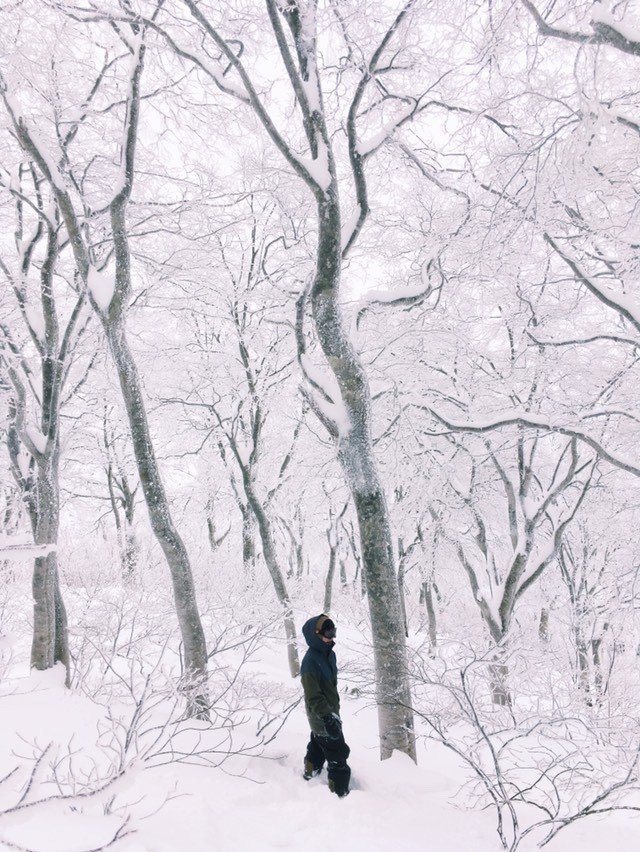 野沢温泉の美しい雪景色たちです。