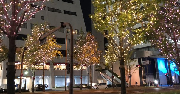 6月17日。宿沢広朗「銀行が必要ないと言えば、ラグビーに賭ける覚悟は