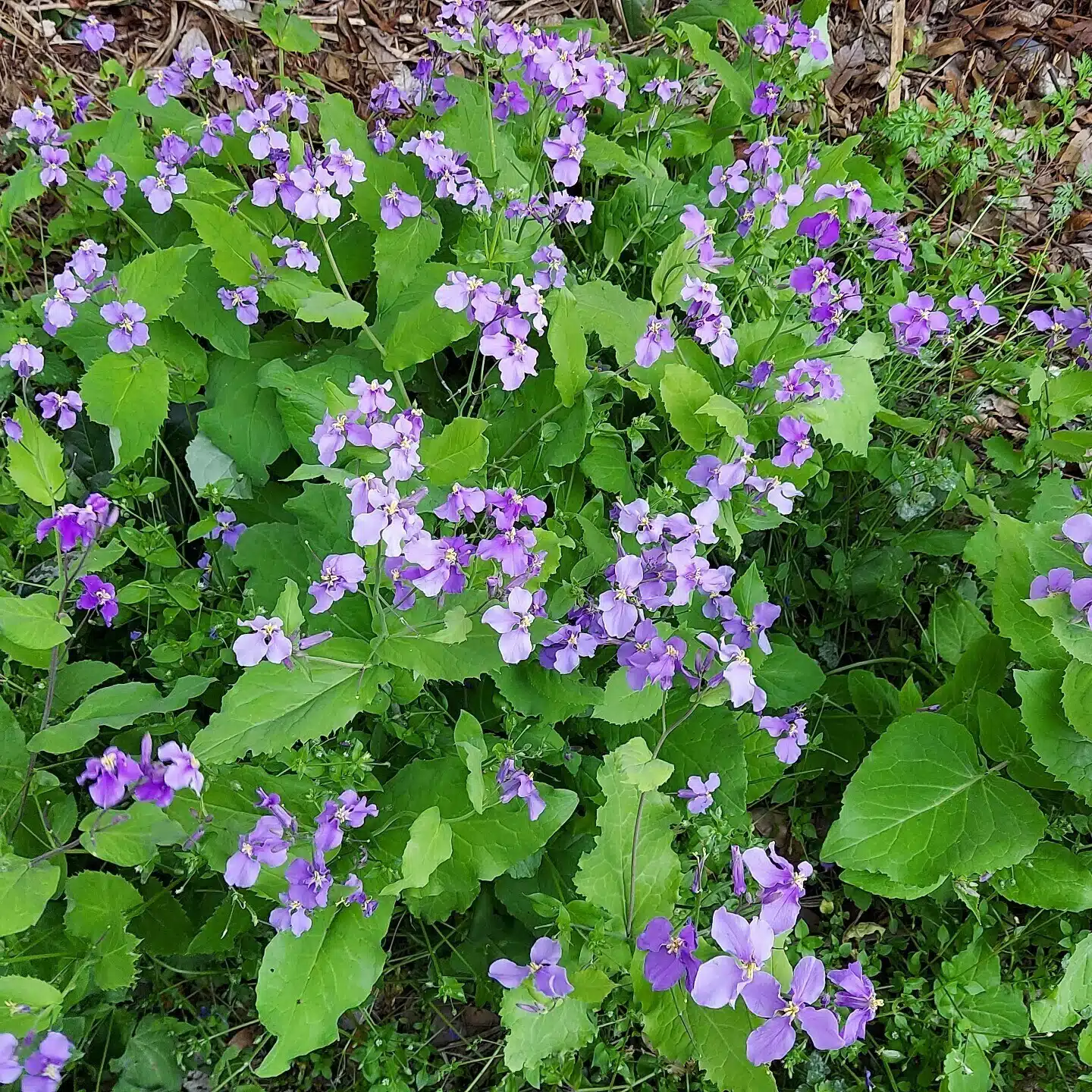 kim_英日翻訳家（字幕・実務・出版）