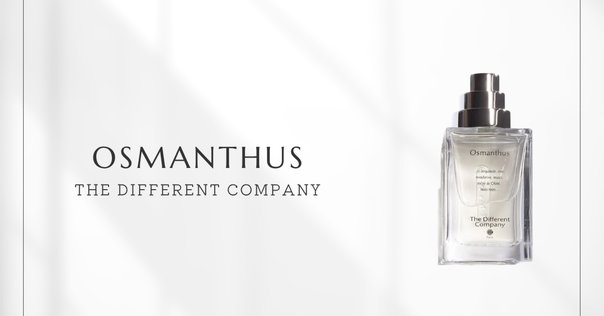 観夏　to summer 簡　watery 30ml 观夏｜三重茶香水30ML - Weee!