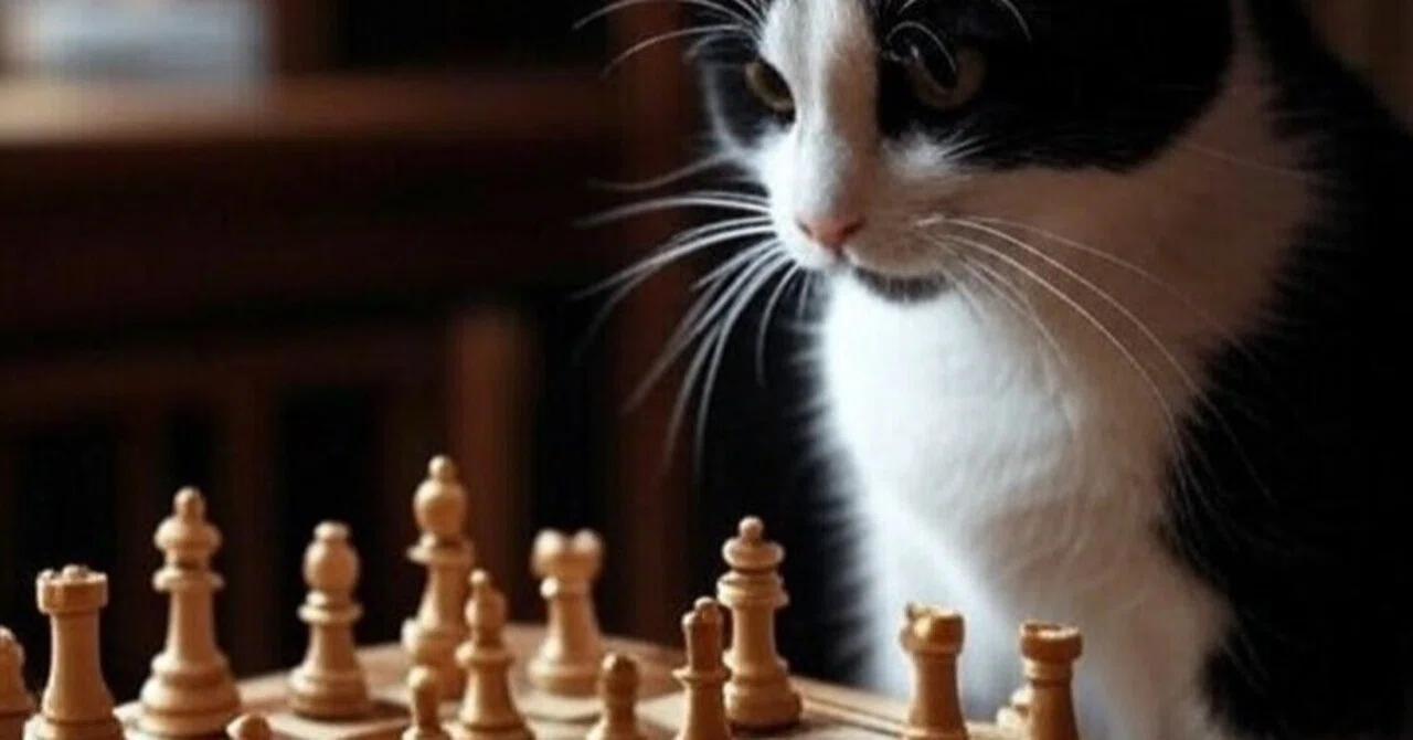 Occasional Chess Recipes (834) Tactics for Tough Times IV｜チェス