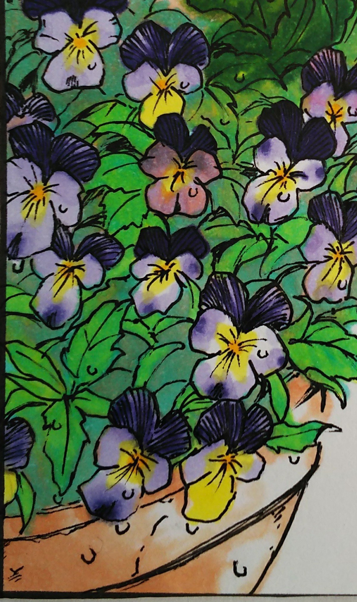 春らしく 花の絵 阿北ボタン Note