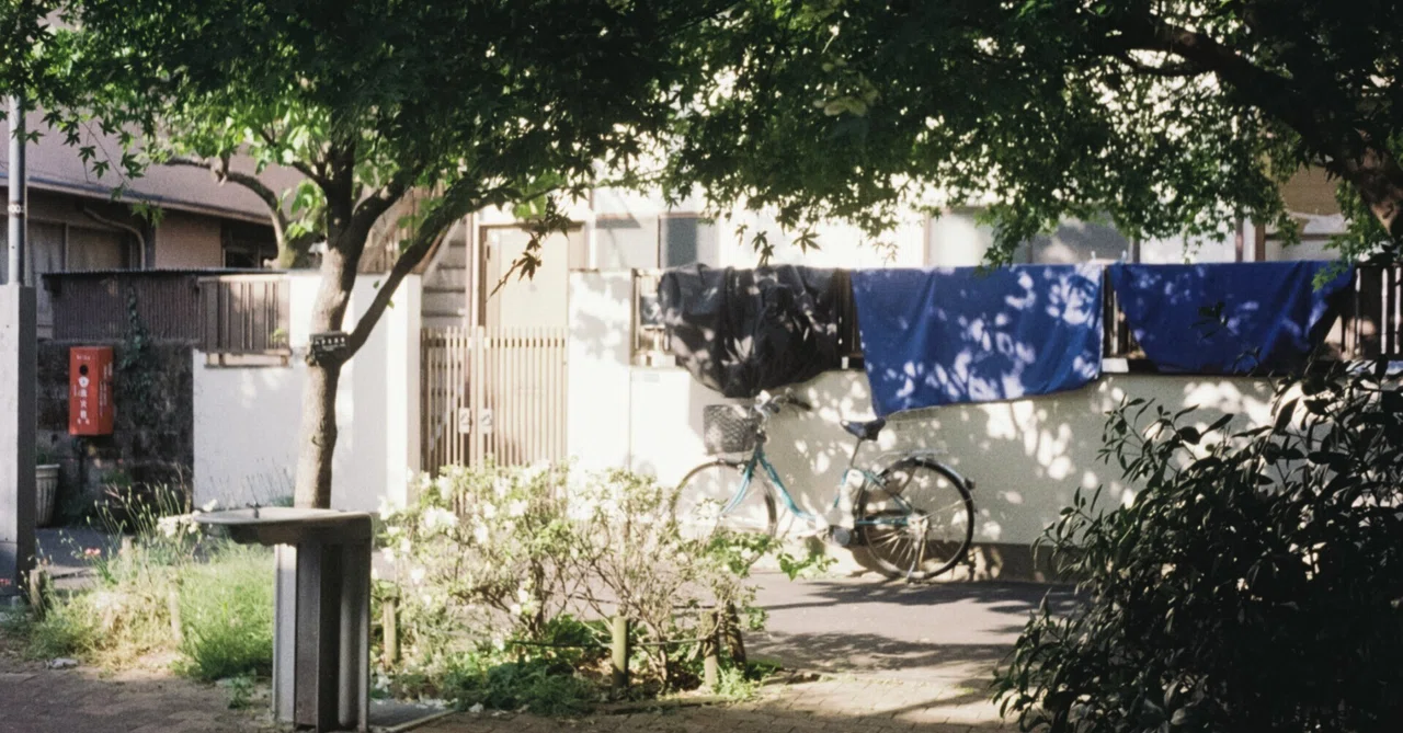 お散歩写真記 ＃28｜tomitomi_otomi