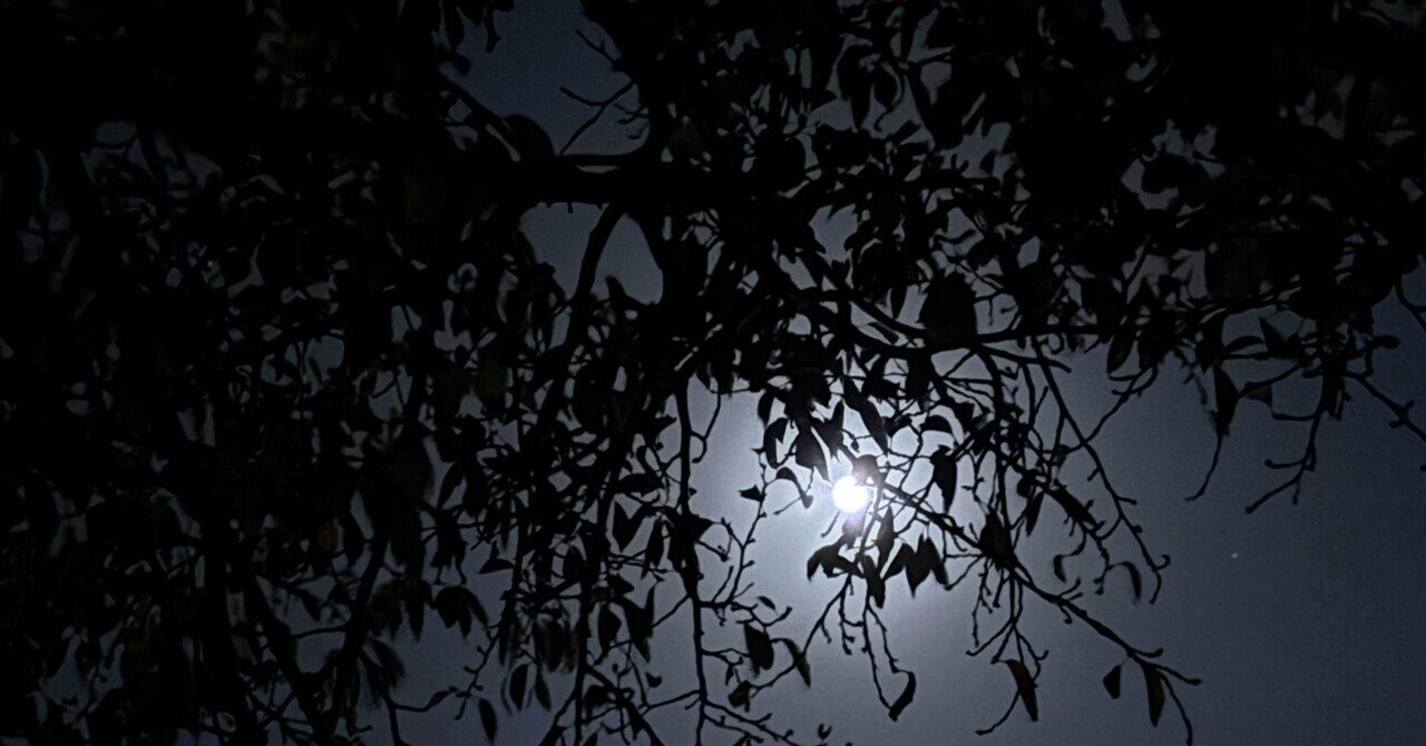 まめたろう☆さま専用（原画）月夜の空の道標 ほか　4点おまとめ まめたろう☆さま専用（原画）月夜の空の道標 ほか 4点おまとめ