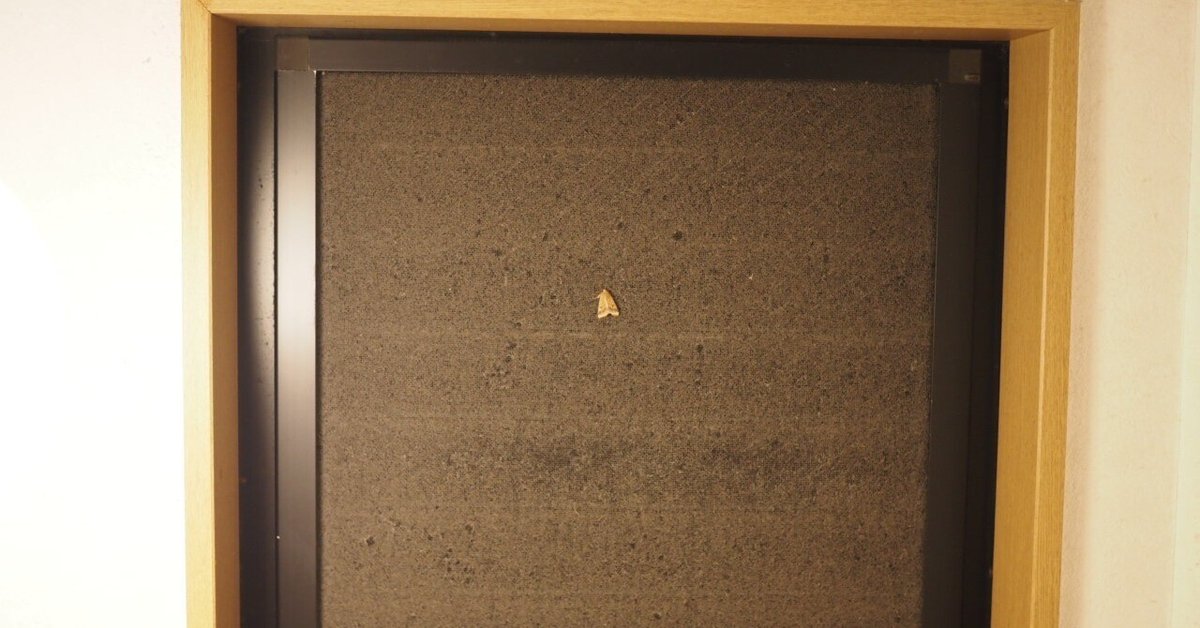 魔法のカボチャ「馬車になります」 Amazon.co.jp: カボチャ馬車 ☆ アンティーク 鉛筆削り ～気分は