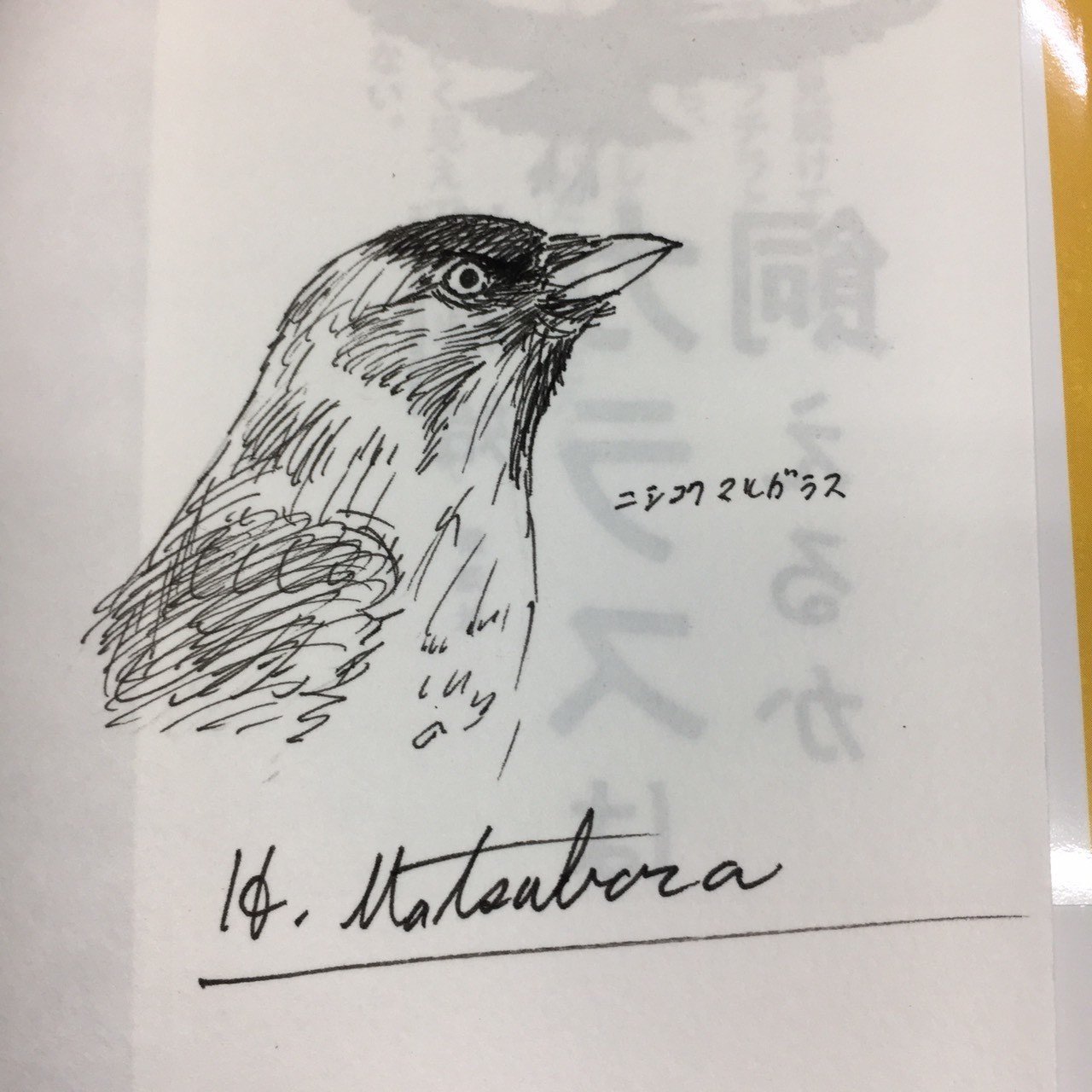 直筆イラストも!松原始『カラスは飼えるか』サイン本プレゼント 直筆イラストも!松原始『カラスは飼えるか』サイン本プレゼント