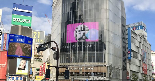 OCTOPUS CULT ４枚セット 幻覚アレルギー かまいたち Amazon.co.jp: かまいたち はちゃめちゃ姫 8cmシングル /検 幻覚