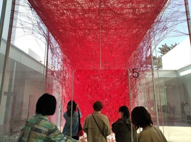画像4