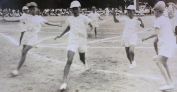 【王選手が育った日本最初の少年野球場】隅田公園少年野球場の石10個セット 日本で最初の少年野球場 - 発祥の地コレクション