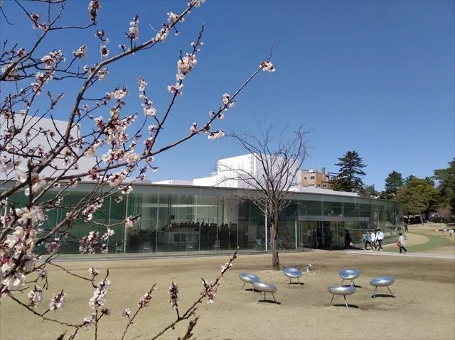 画像5