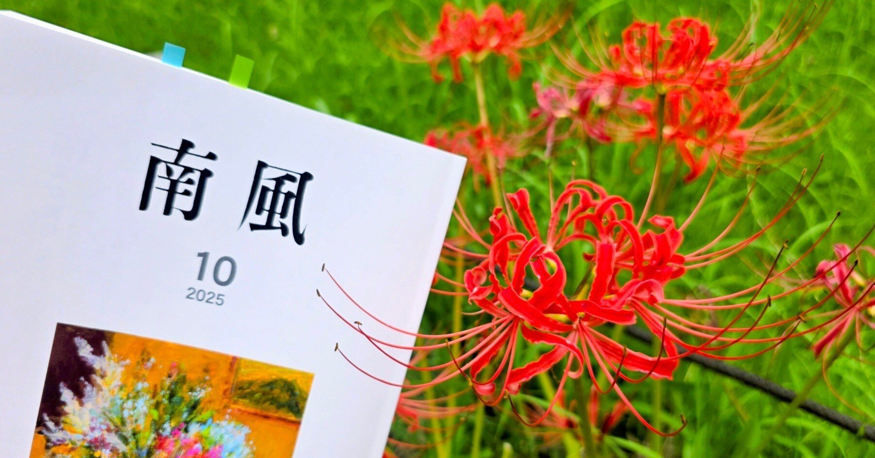 鷲谷七菜子全句集/南風俳句会編