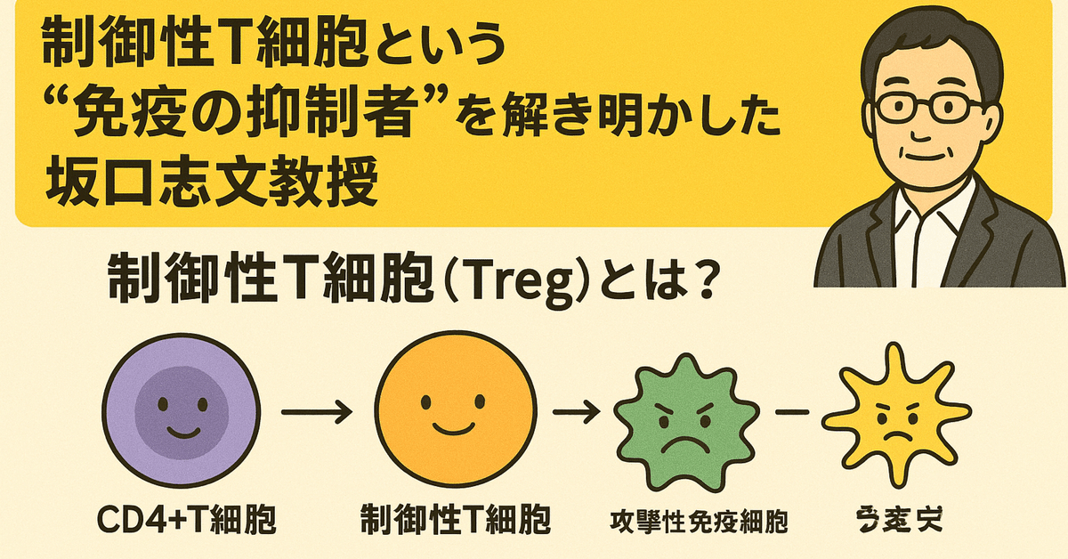 坂口志文特任教授 が、「制御性T細胞（Regulatory T cell, Treg
