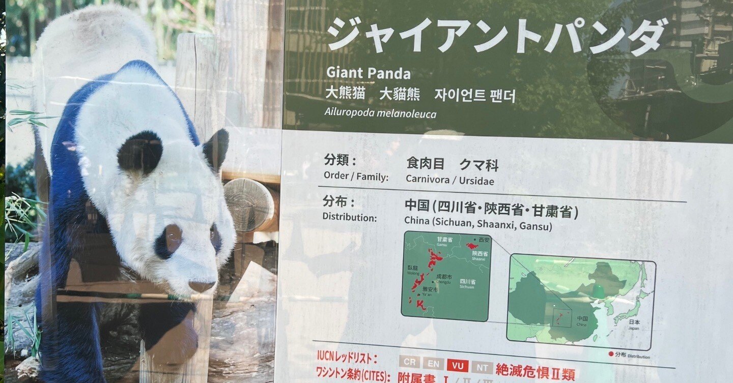 パンダ様ご確認ページ 上野案内所 では、2026年2月6日(金)に全国公開される、映画『#パンダの