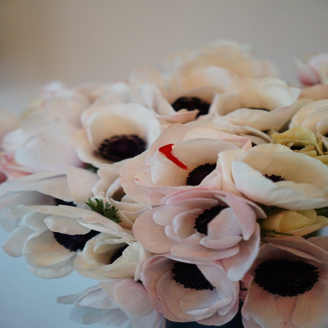 パリのお花屋さん巡り 守屋 百合香 Yurika Moriya Note