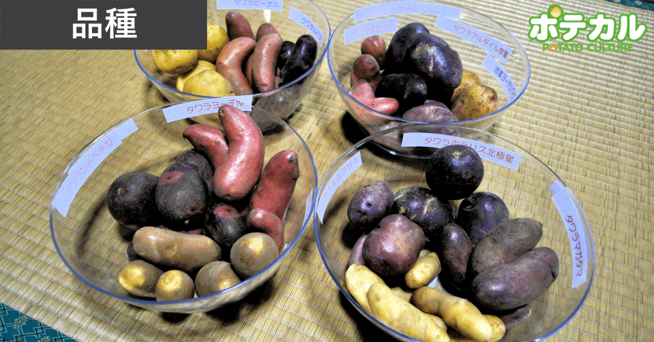 デストロイヤー」はいまも生きている｜ポテカル