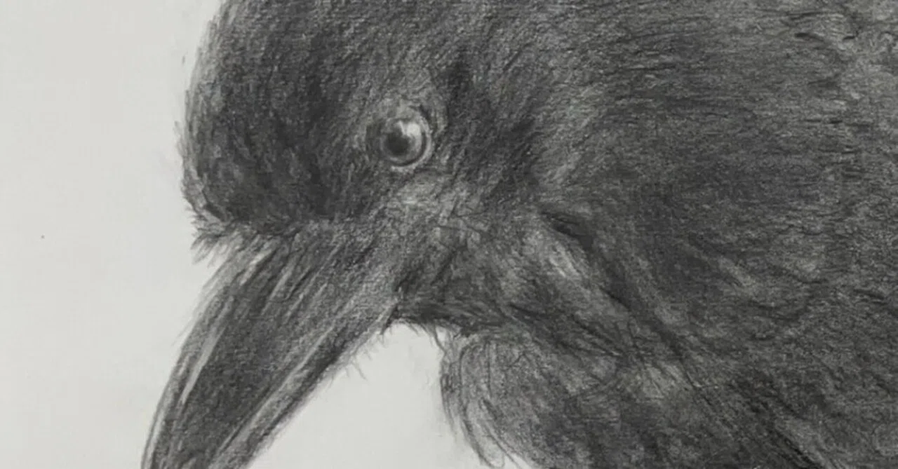 Drawing Class 3] The crow was too intense!｜フク