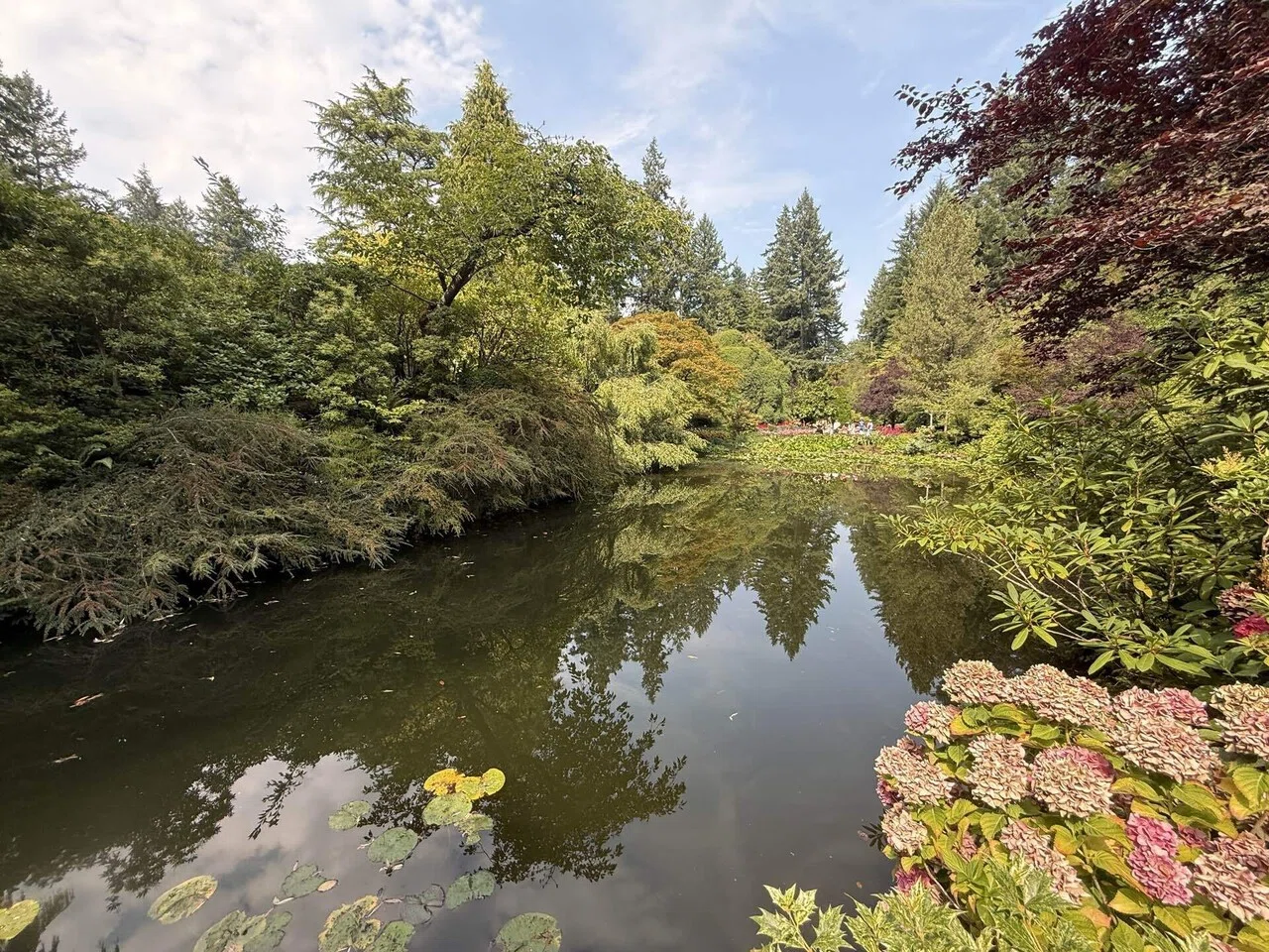 12】カナダ・ビクトリアの美しすぎる庭園！！ブッチャートガーデン観光