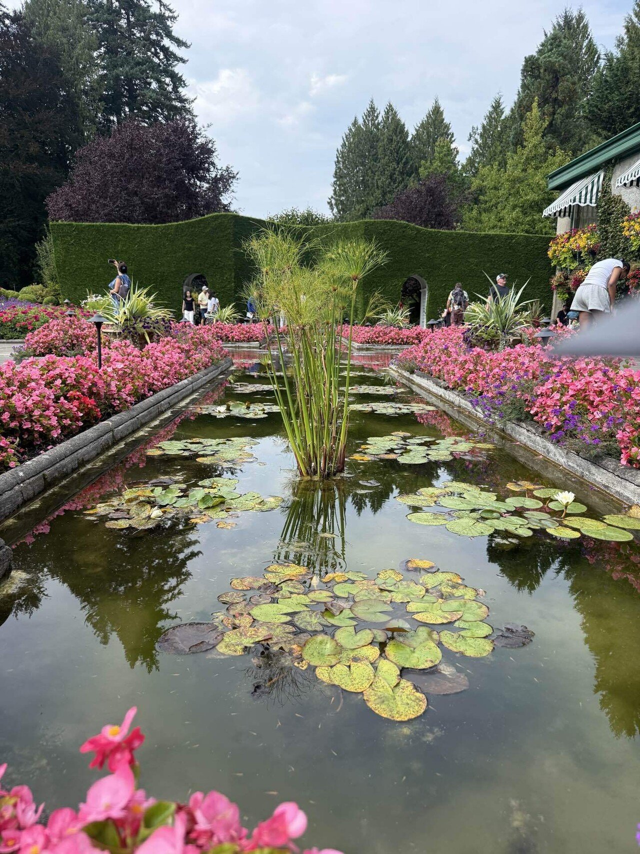 12】カナダ・ビクトリアの美しすぎる庭園！！ブッチャートガーデン観光
