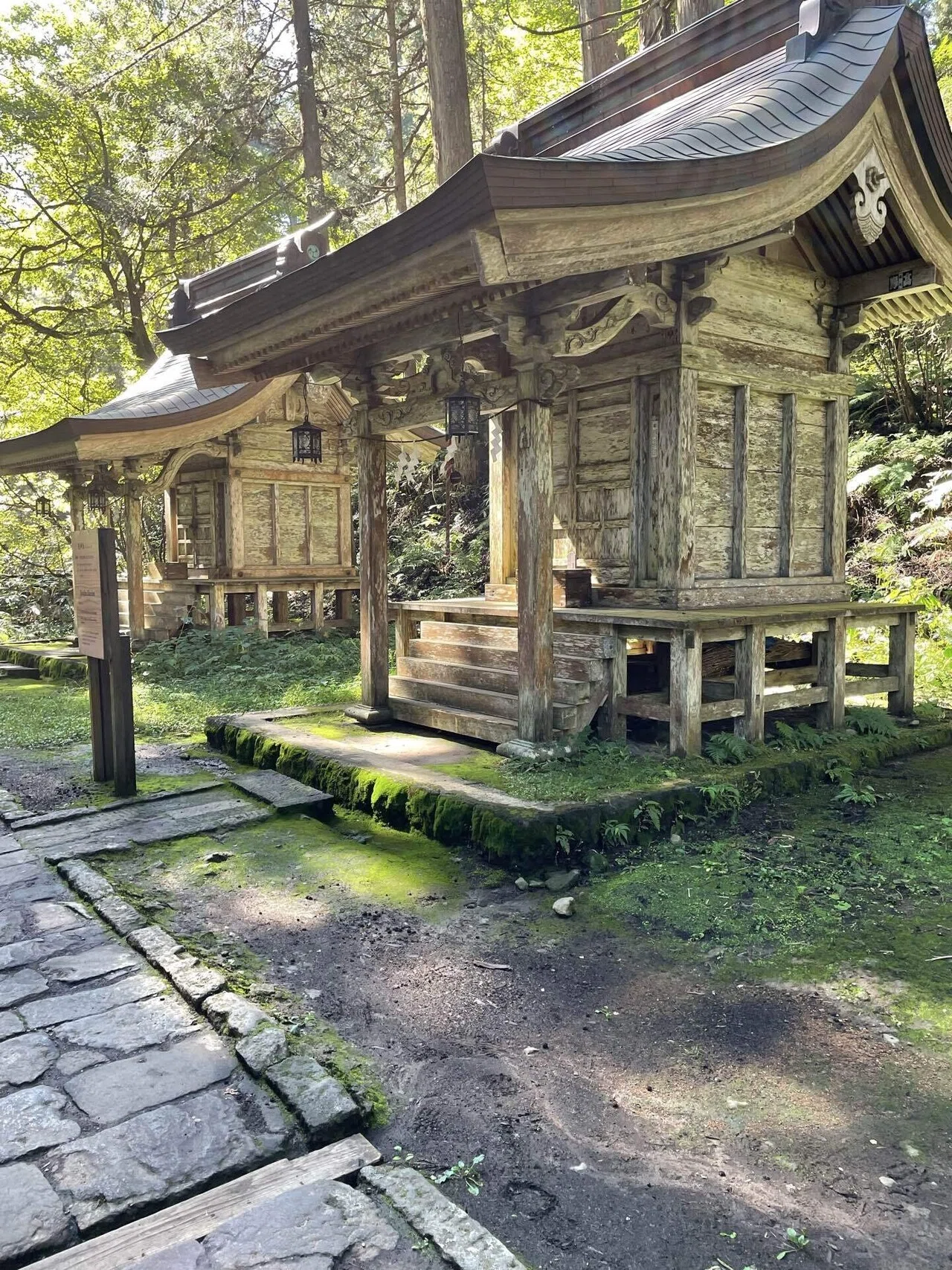念願の羽黒山へ | 出羽三山参詣をようやく完遂｜kumanon